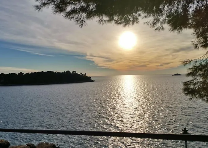 Flora With Pool By Guide