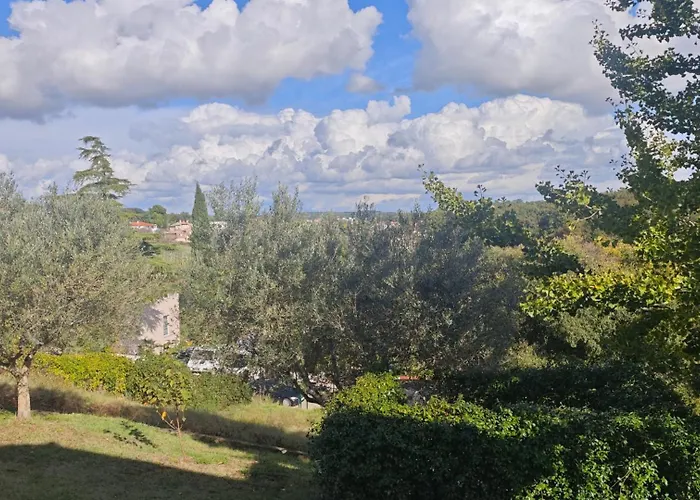 Flora With Pool By Guide